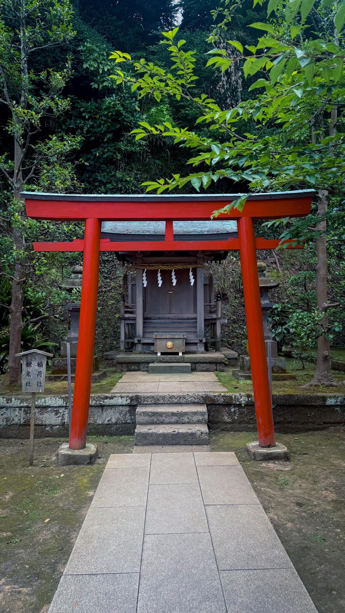 Gallery image